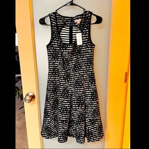 NWT Banana Republic 4 black and white lace fully lined floral striped dress
